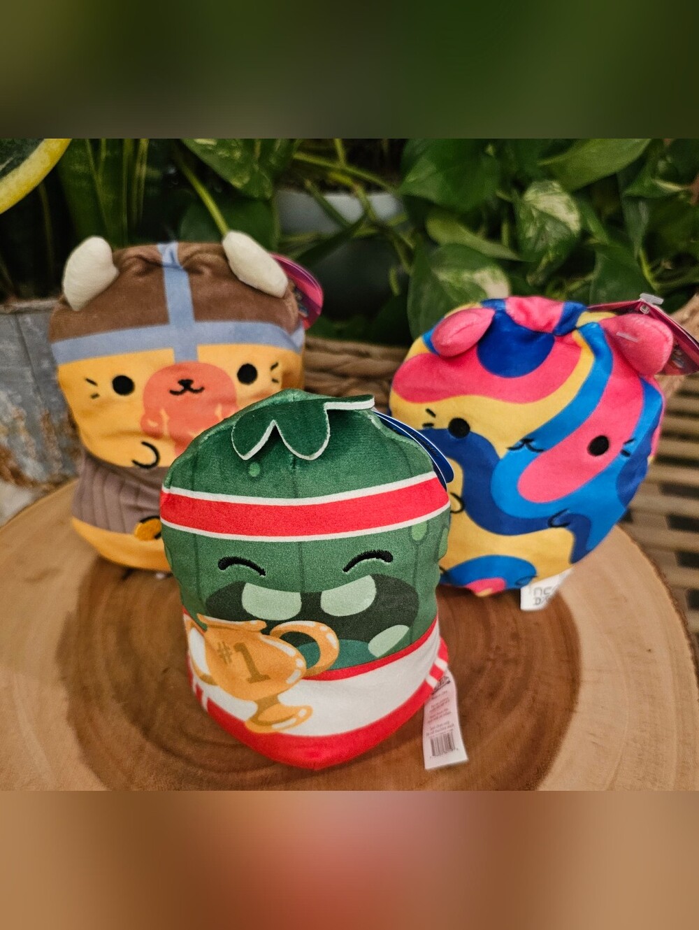 (3) Variety Cats vs Pickles BRAND NEW w/Tags
